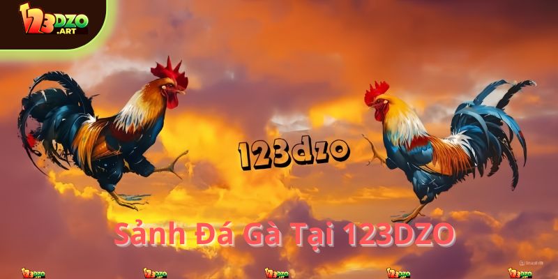 Sảnh đá gà uy tín tại 123DZO